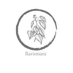 Ravintsara