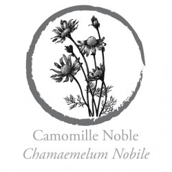 Camomille Noble
